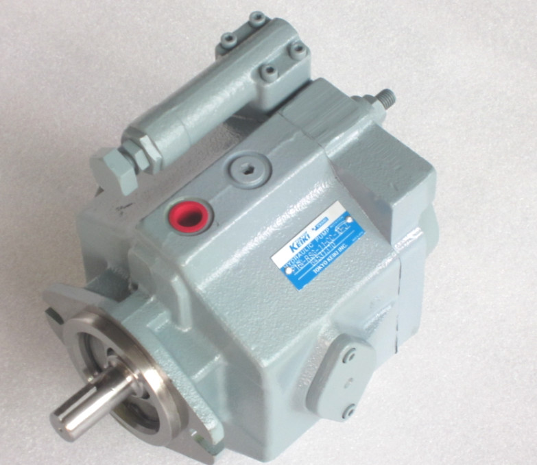 TOKIME piston pump P21V-FRS-11-CMC-10-J