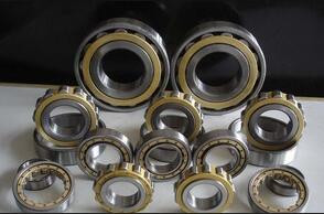 Rexroth hydraulic pump bearings  F-219236