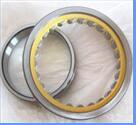 Rexroth hydraulic pump bearings  F-219232.2
