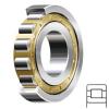 NSK NJ218M Cylindrical Roller Bearings #1 small image
