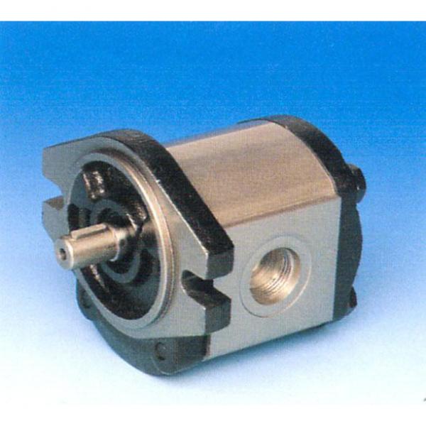 Italy MARZOCCHI pump GHP2BK1-D-20-T4-T #1 image